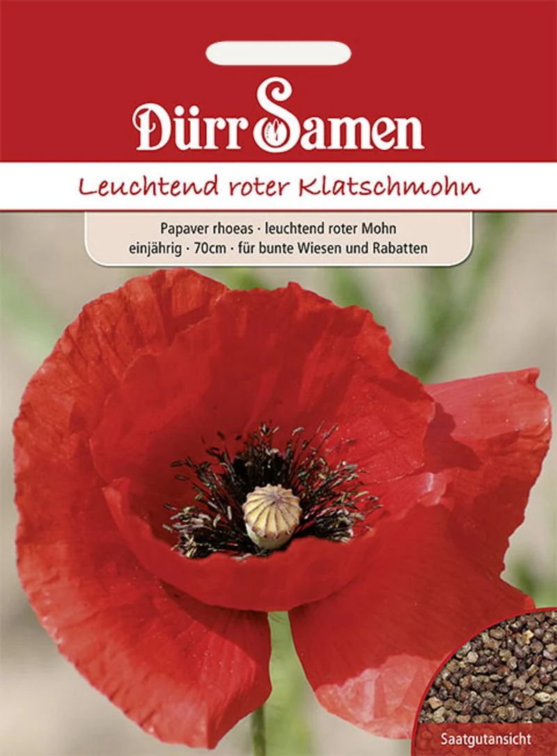 Mohn leuchtend rot Saatgut