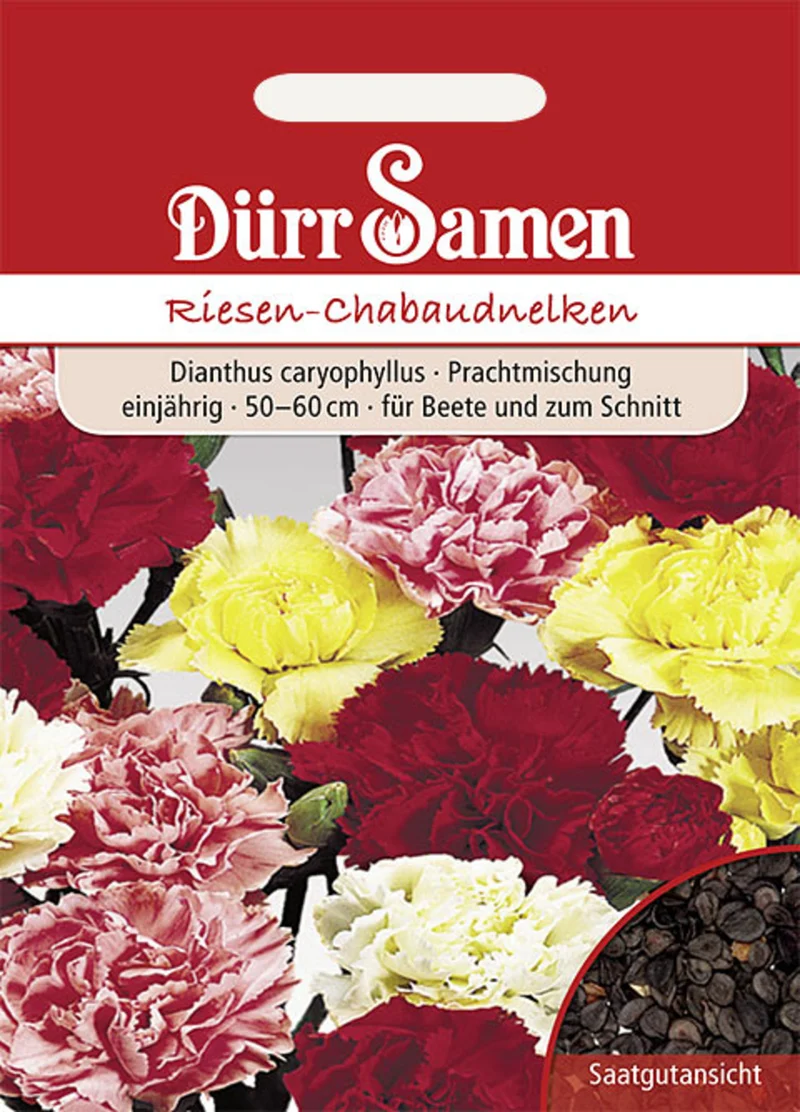 Gartennelke Prachtmischung Chabaud Saatgut