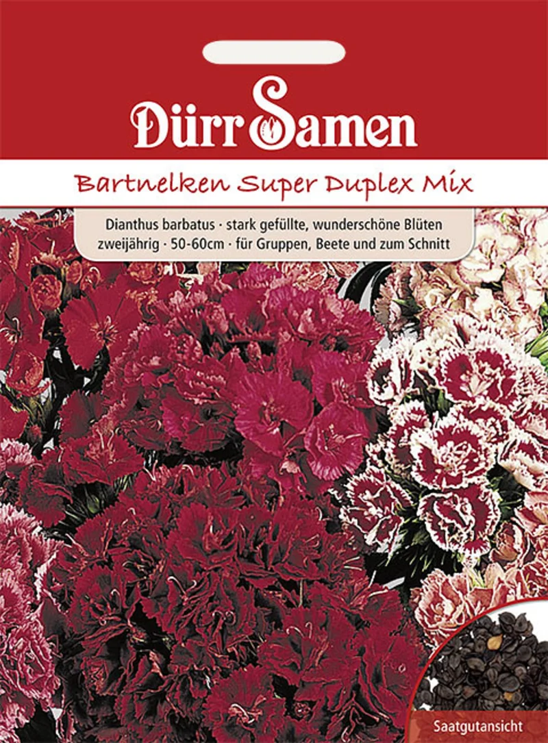 Bartnelke Super Duplex Mix Saatgut