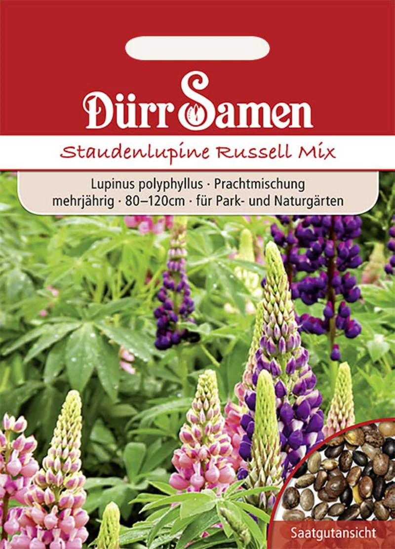 Staudenlupine Prachtmischung Saatgut