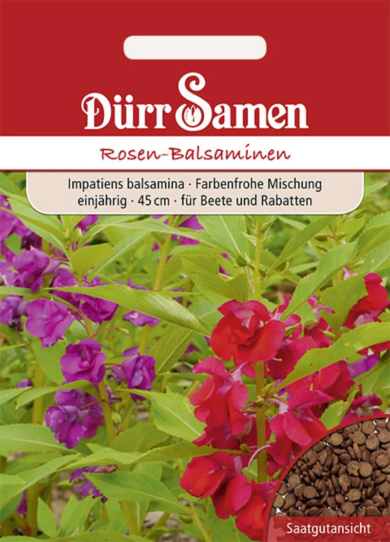 Rosen Balsaminen Mischung Saatgut
