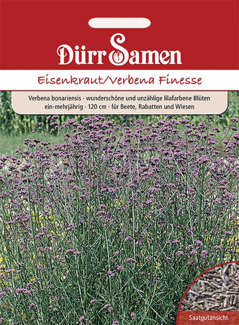 Eisenkraut Finesse Saatgut