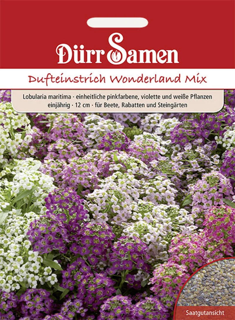 Duftsteinrich Wonderland Mix Saatgut