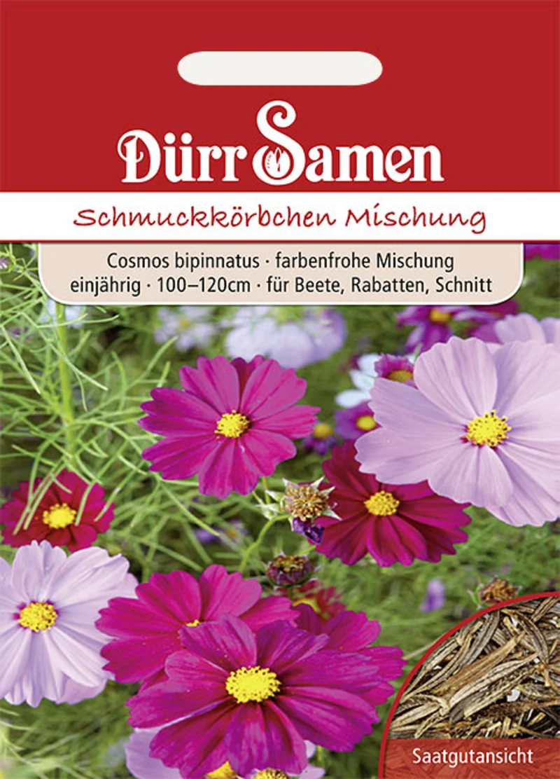 Cosmea Prachtmischung Saatgut