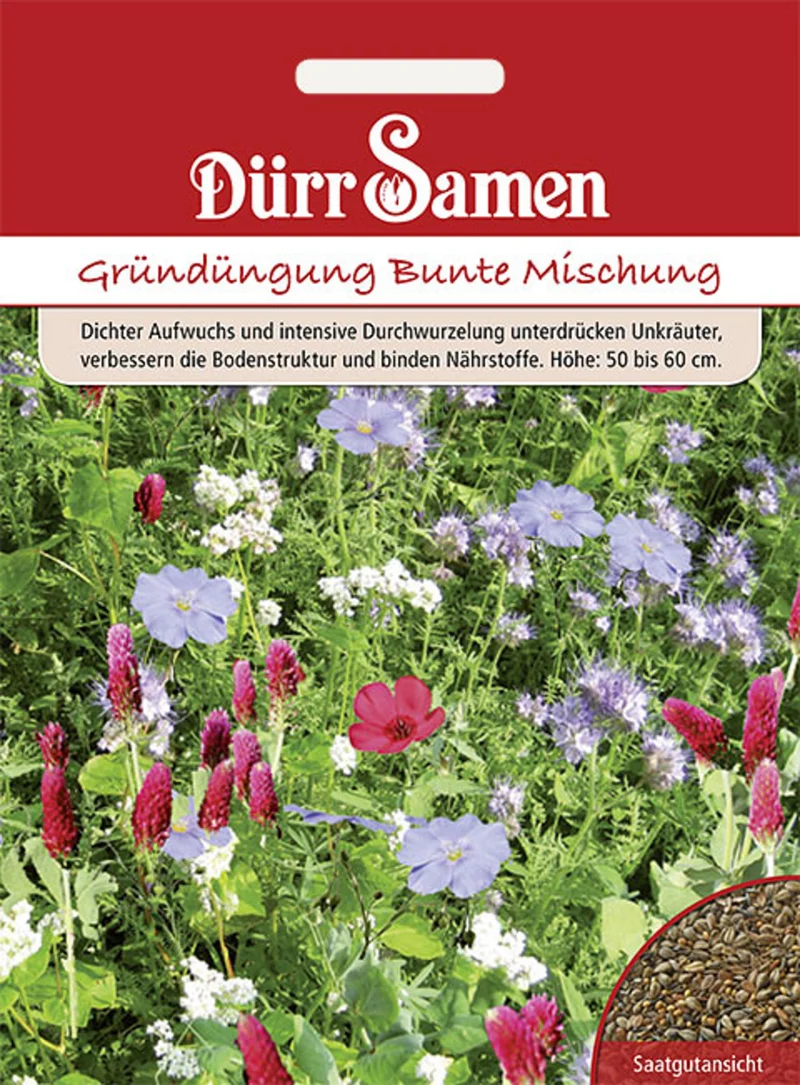 Gründüngung Bunte Mischung 50 g Saatgut