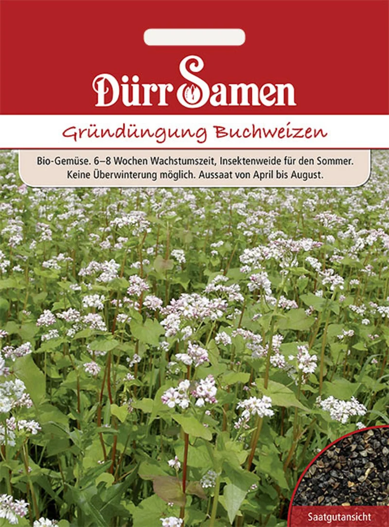 Gründüngung Buchweizen 50 g Saatgut
