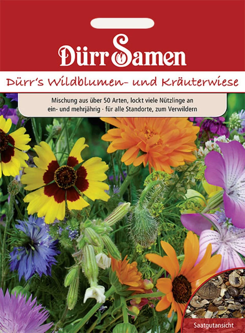 Blumen und Kräuterwiese 50 Arten Saatgut