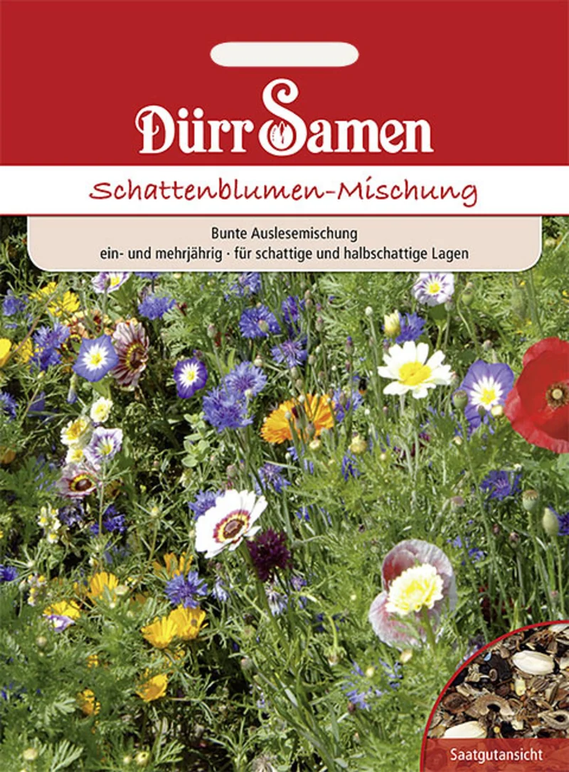 Blumenmischung Schattenblumen Saatgut