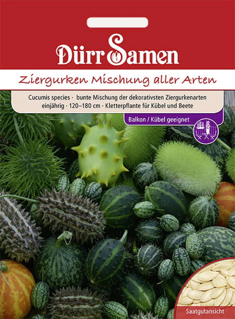Ziergurken Bunte Mischung aller Arten Saatgut