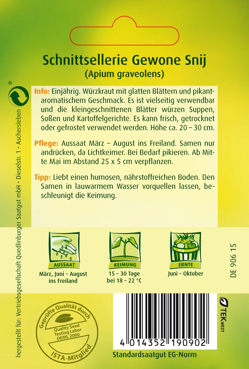 Schnitt Sellerie Gewone Snij Saatgut