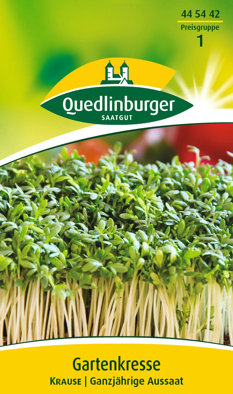 Gartenkresse Krause Saatgut