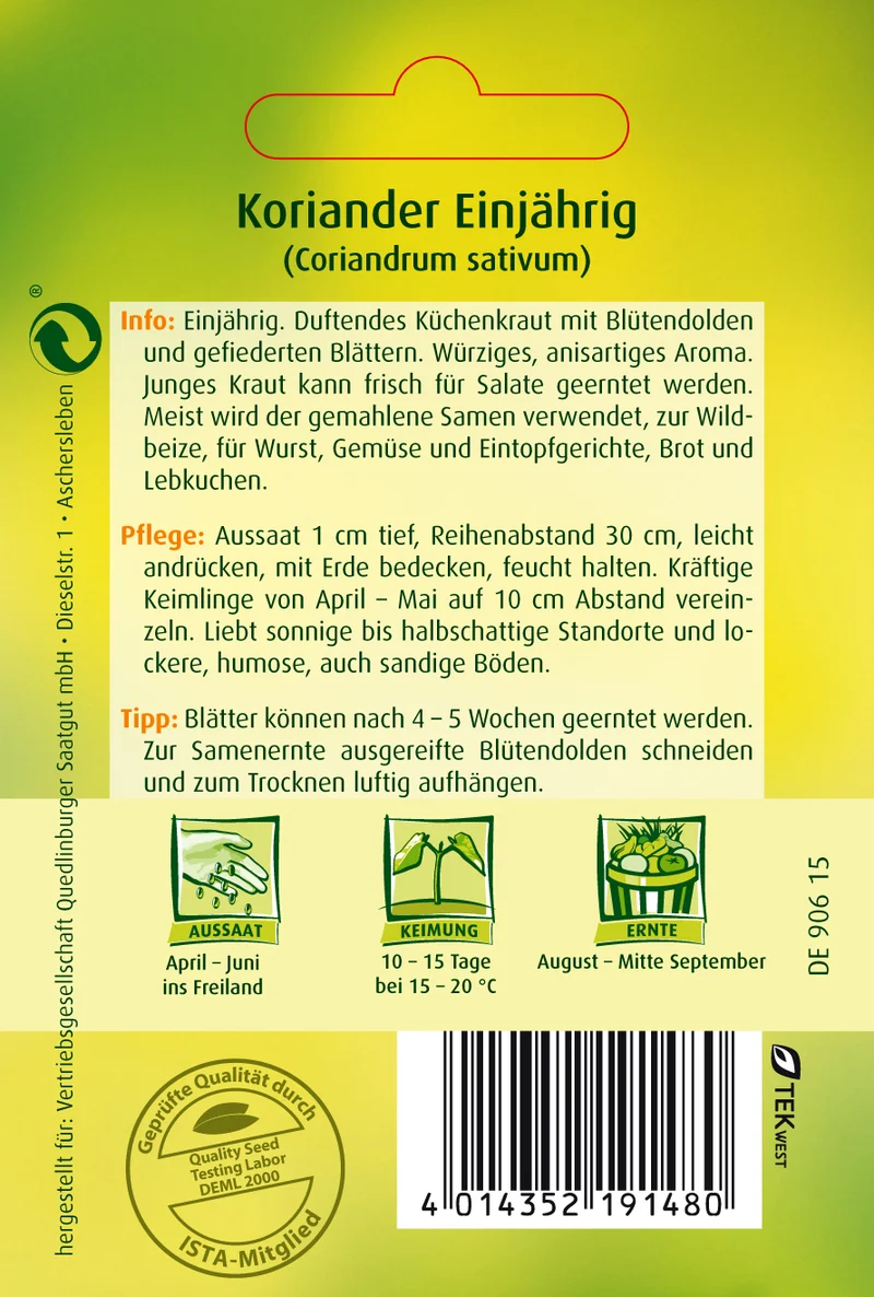 Koriander Thüringer Saatgut