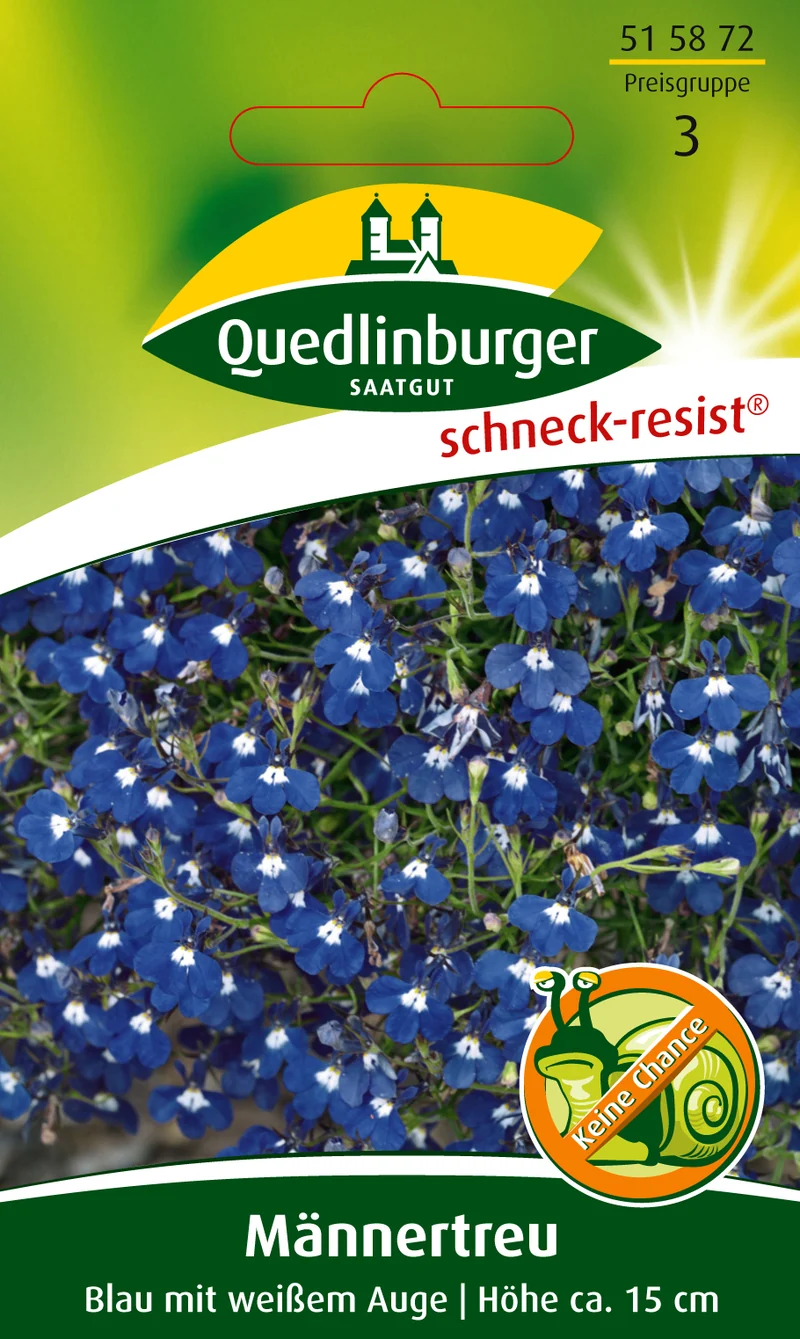 Männertreu Blau mit weißem Auge Saatgut