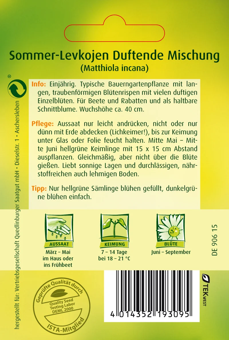 Sommer Levkojen Frühe hohe Mischung Saatgut
