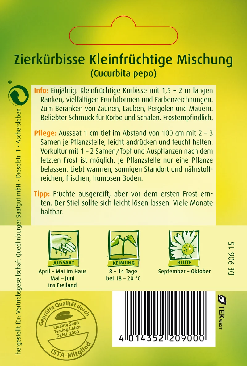 Zierkürbis kleinfrüchtige Mischung Saatgut