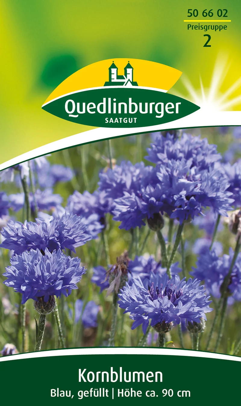 Kornblume Blau gefüllt Saatgut
