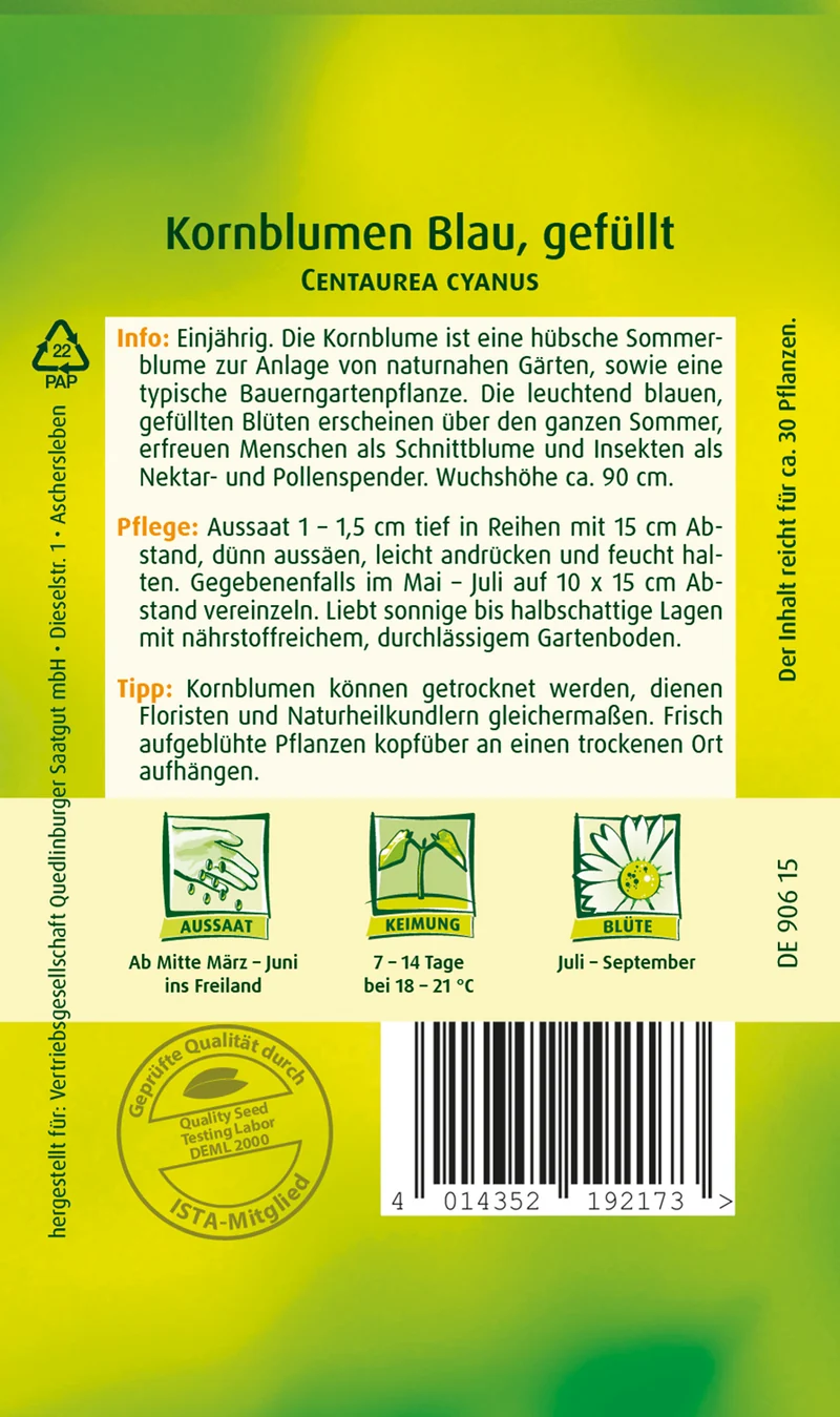 Kornblume Blau gefüllt Saatgut