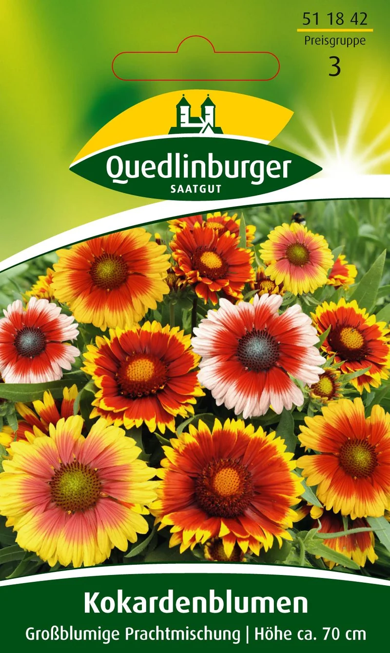 Kokardenblume Großblumige Mischung Saatgut
