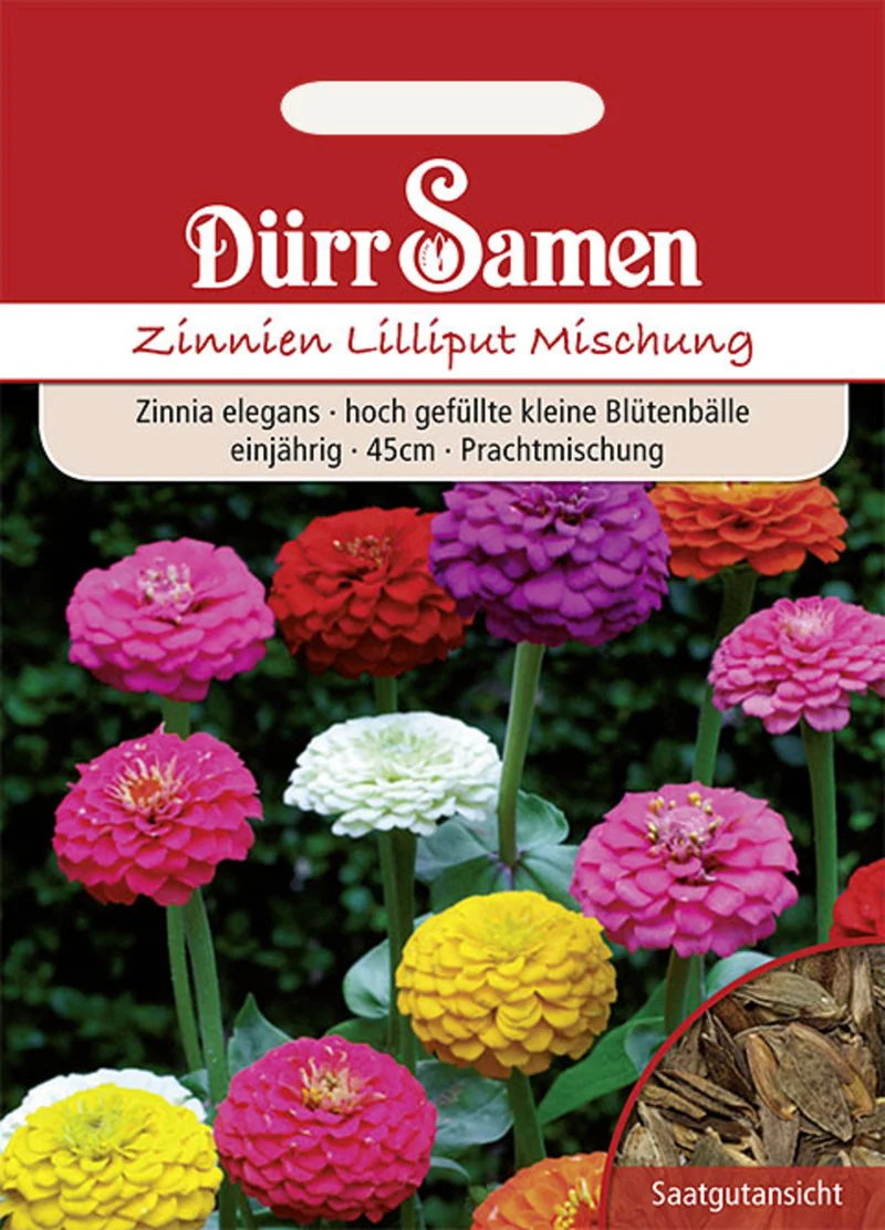 Zinnie Lilliput Prachtmischung Saatgut