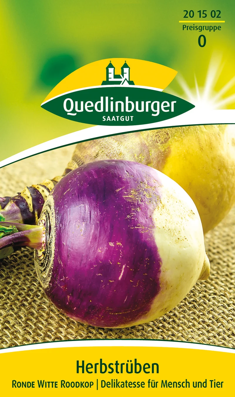 Herbstrübe Saatgut