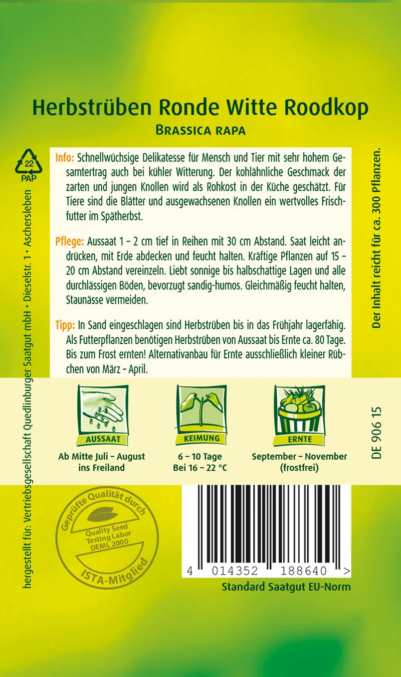 Herbstrübe Saatgut