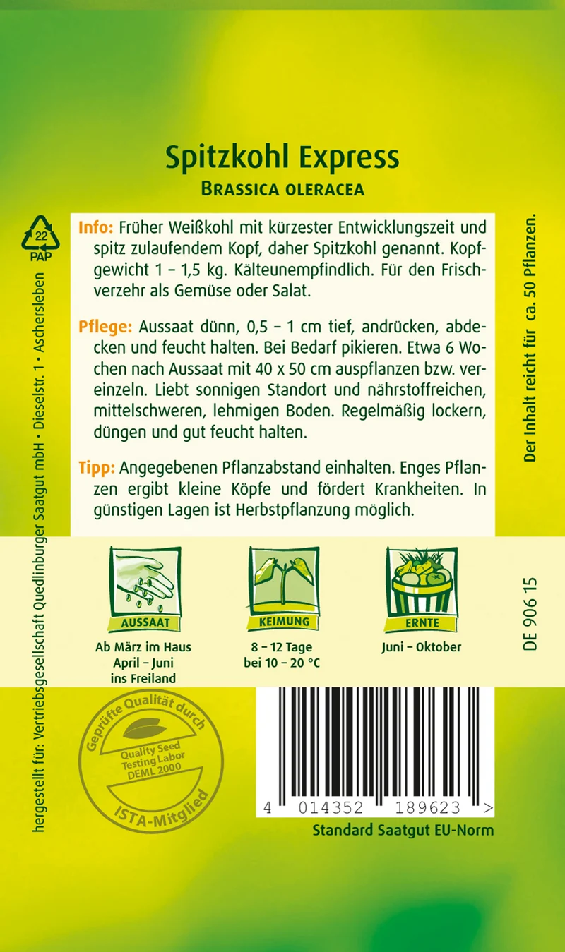 Spitzkohl Express Saatgut