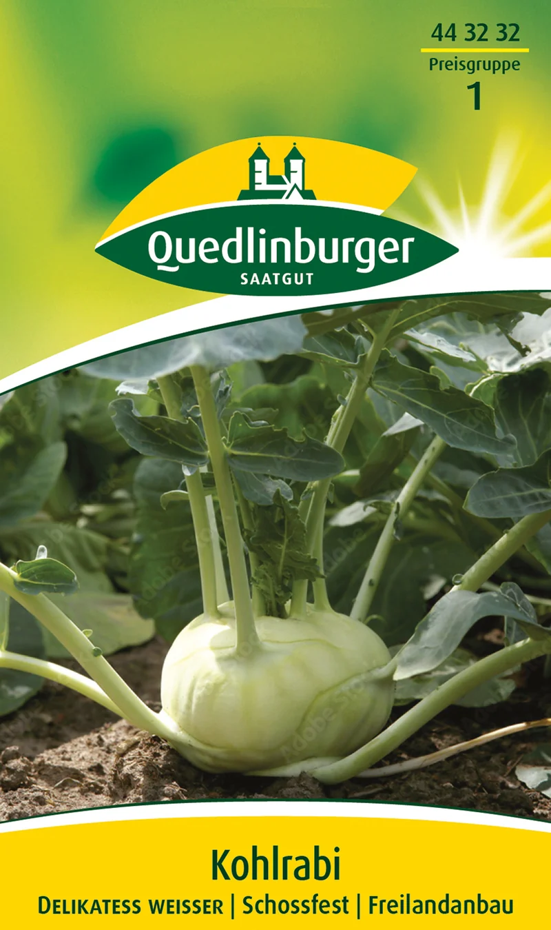 Kohlrabi Delikateß weißer Saatgut