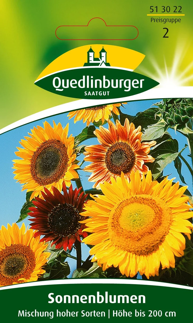 Sonnenblume Mischung hoher Sorten Saatgut