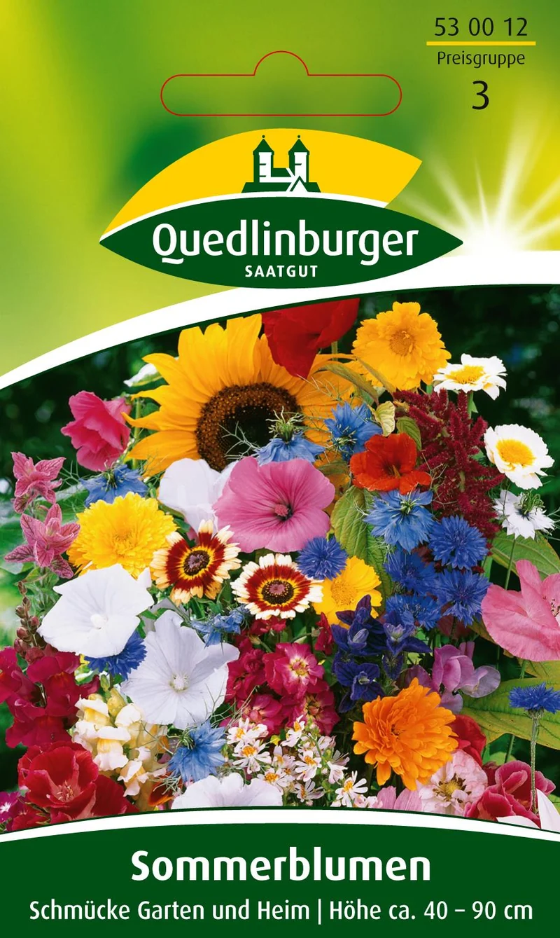 Sommerblumen Schmücke Garten und Heim Saatgut