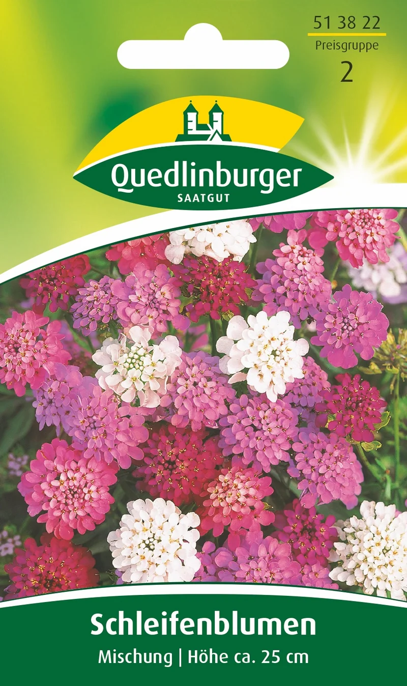 Schleifenblume Mischung Saatgut
