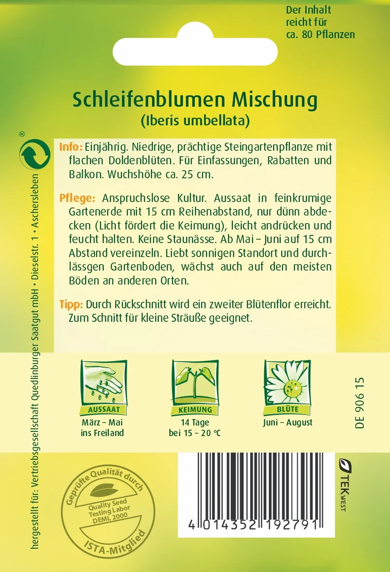 Schleifenblume Mischung Saatgut