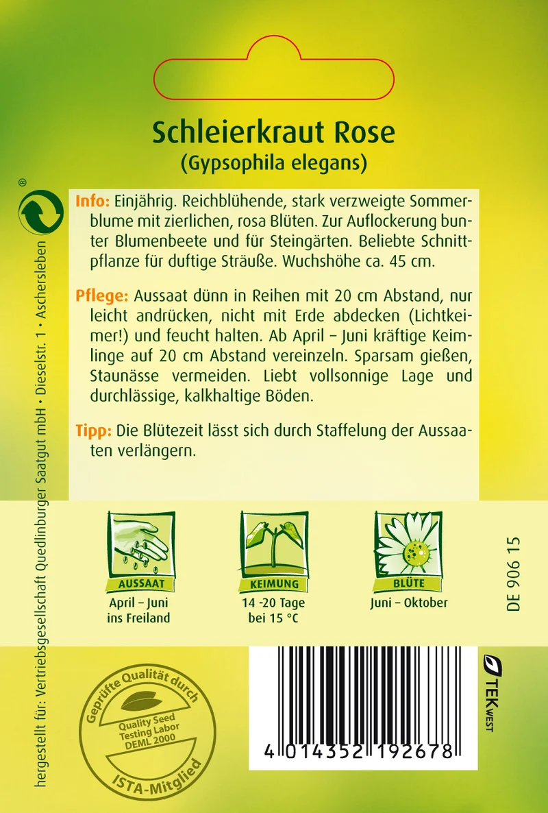 Schleierkraut Rose Saatgut