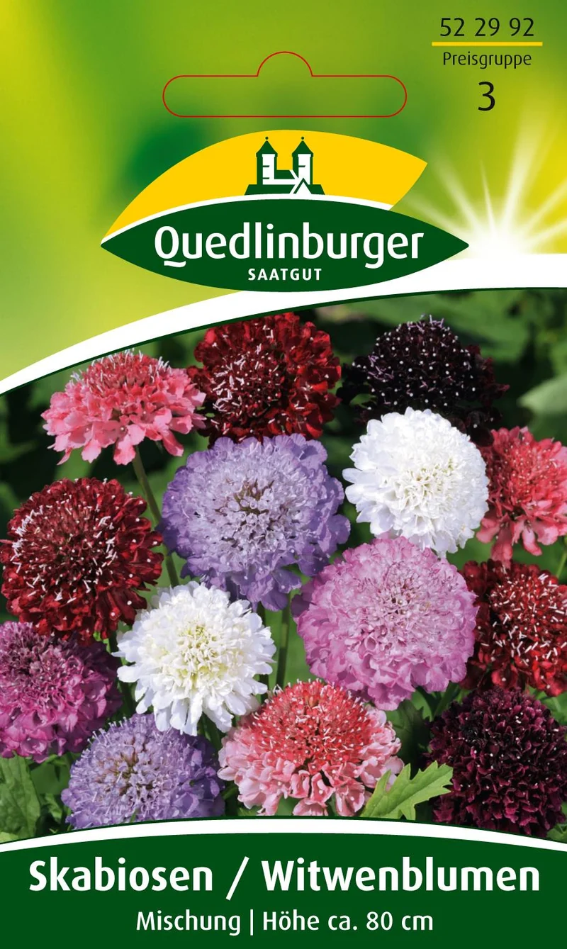 Skabiose Witwenblume Saatgut