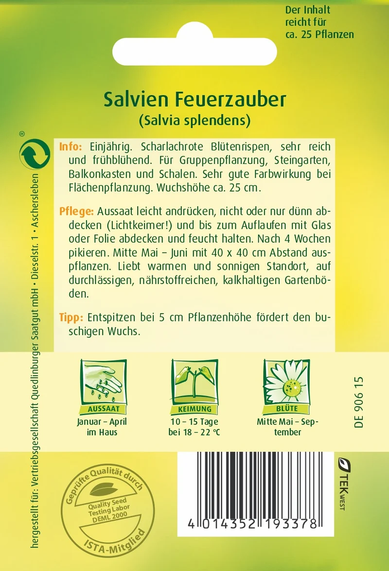 Salvie Feuerzauber Saatgut