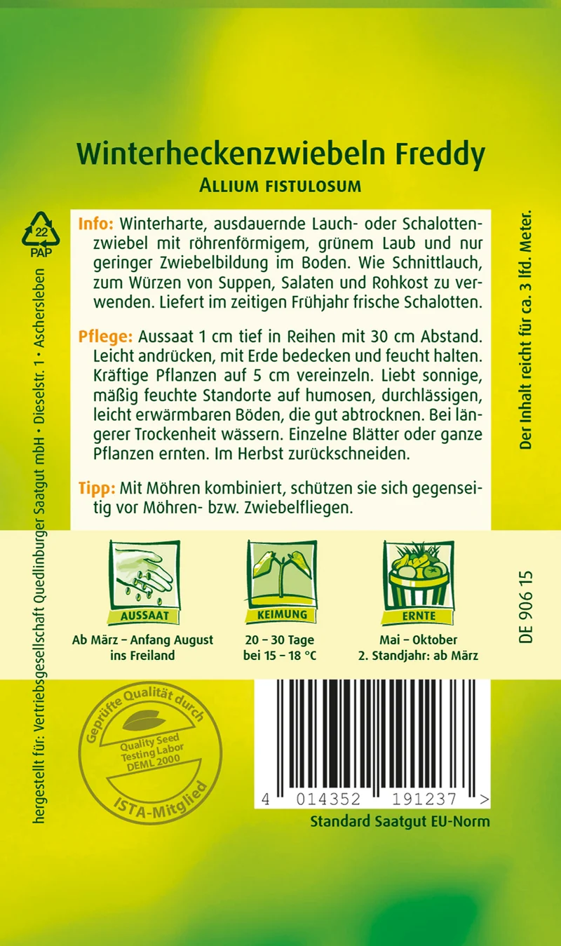 Winterhecken Zwiebeln Freddy Saatgut