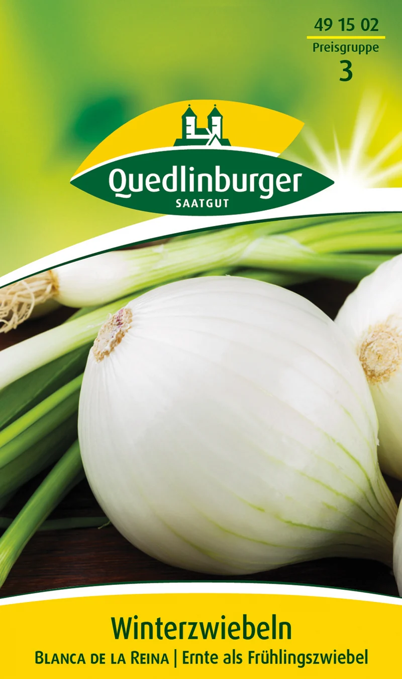 Winter Zwiebeln Blanca de la Saatgut