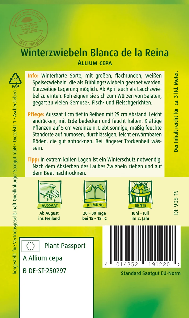 Winter Zwiebeln Blanca de la Saatgut
