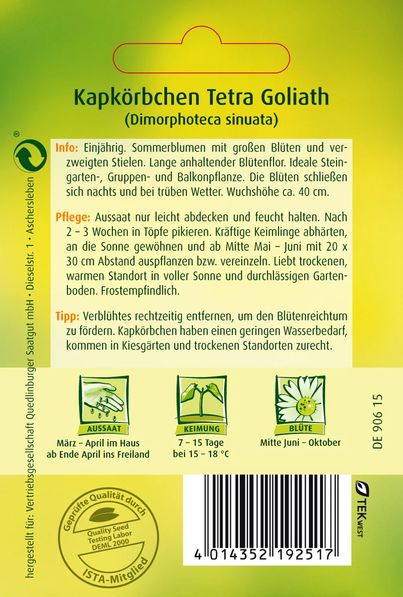 Kapkörbchen Tetra Goliath Saatgut