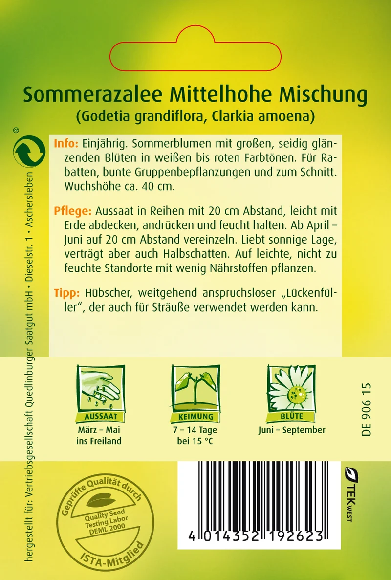 Sommerazalee Saatgut