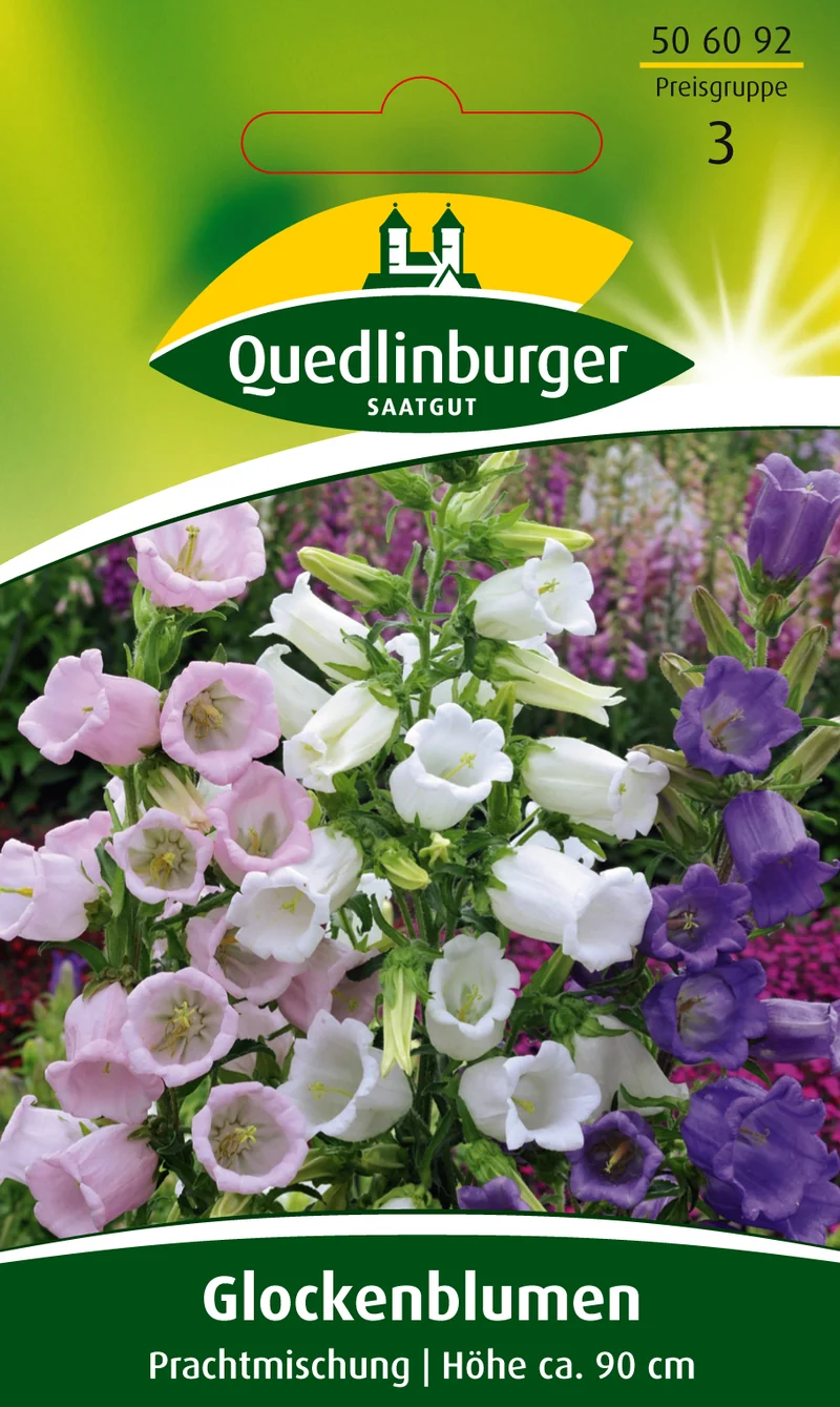 Glockenblume Prachtmischung Saatgut