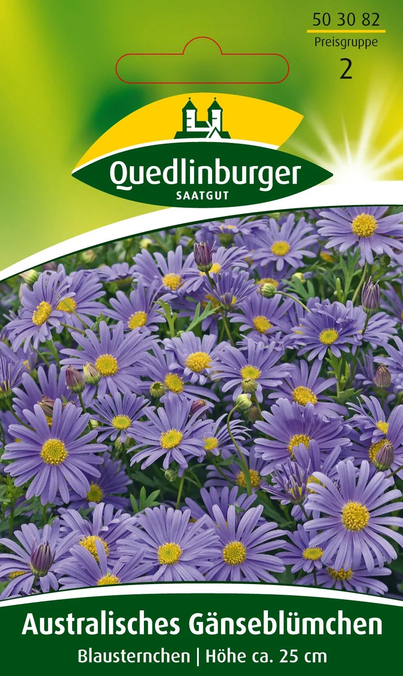 Australisches Gänseblümchen Saatgut