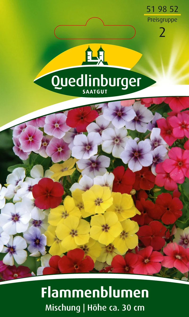 Flammenblume Phlox Mischung Saatgut