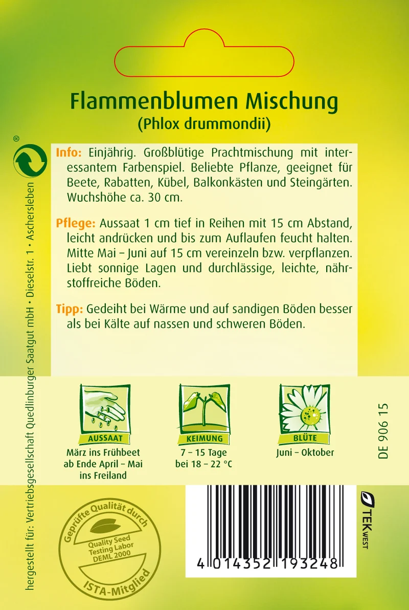 Flammenblume Phlox Mischung Saatgut
