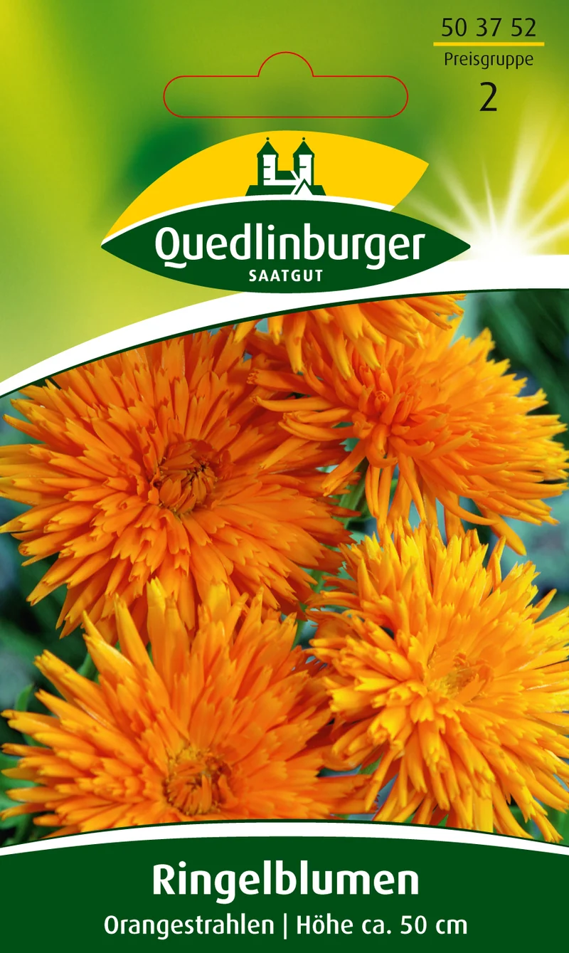 Ringelblume Orangestrahlen Saatgut