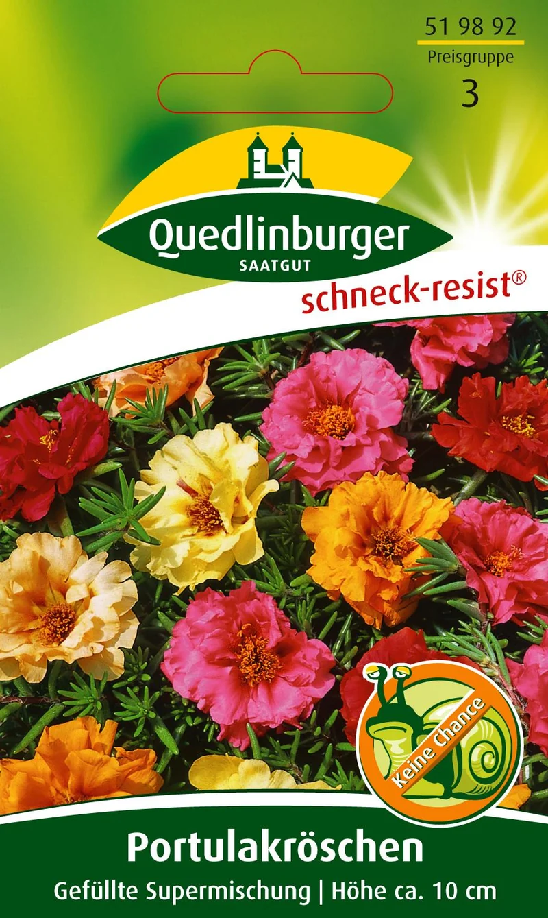 Portulakröschen Gefüllte Saatgut