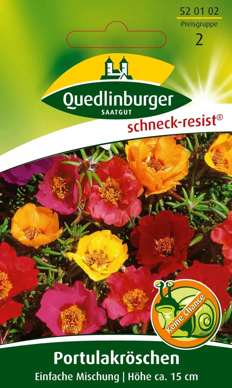 Portulakröschen Einfachblühend Saatgut