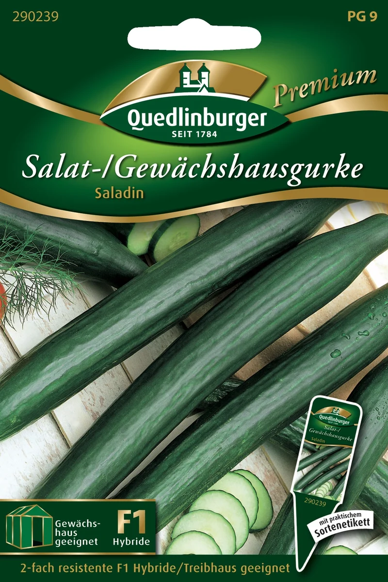 Gewächshausgurke Saladin Saatgut