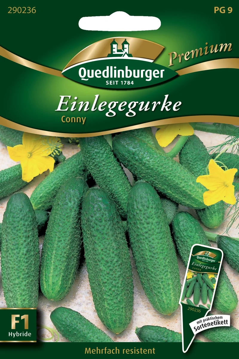Einlegegurke Conny Saatgut