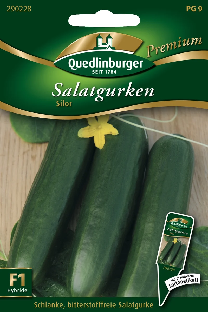 Freilandsalatgurken Silor Saatgut