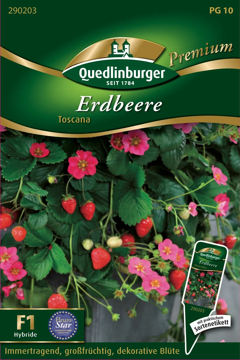 Erdbeere Toscana Saatgut